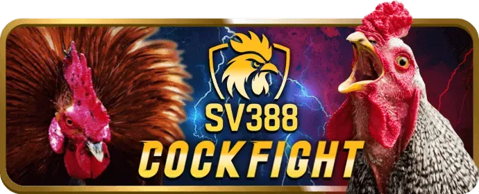 Thưởng nạp và hoàn trả VIP